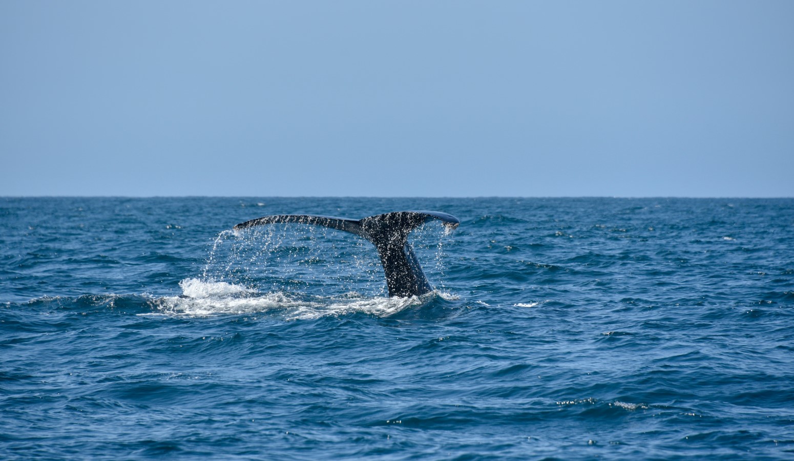 los cabos viaje con niños